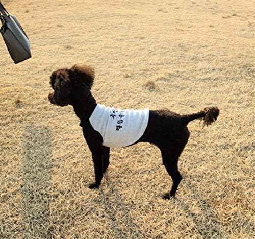 בגדי כלבים של נוער טנק קיץ טנק גופיה חולצת אפוד ללא שרוולים סוודר סוודר כלבים קוריאני סווטשירטים לרופה פארה פרוס פיקינוס